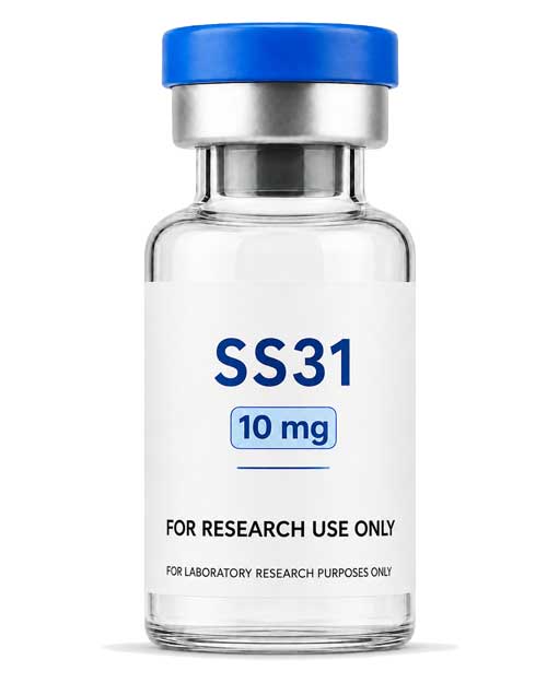 SS31